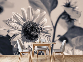photo-wallpaper-bees-on-the-sunflower-sw