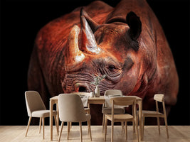 photo-wallpaper-rhino-posing-x