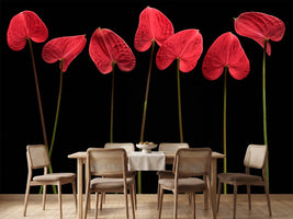 photo-wallpaper-botanical-hearts