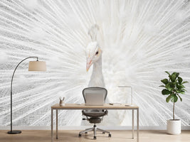 photo-wallpaper-splendid-whitie