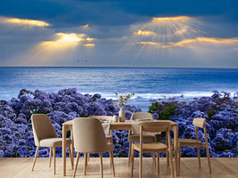 photo-wallpaper-lavender-and-sea