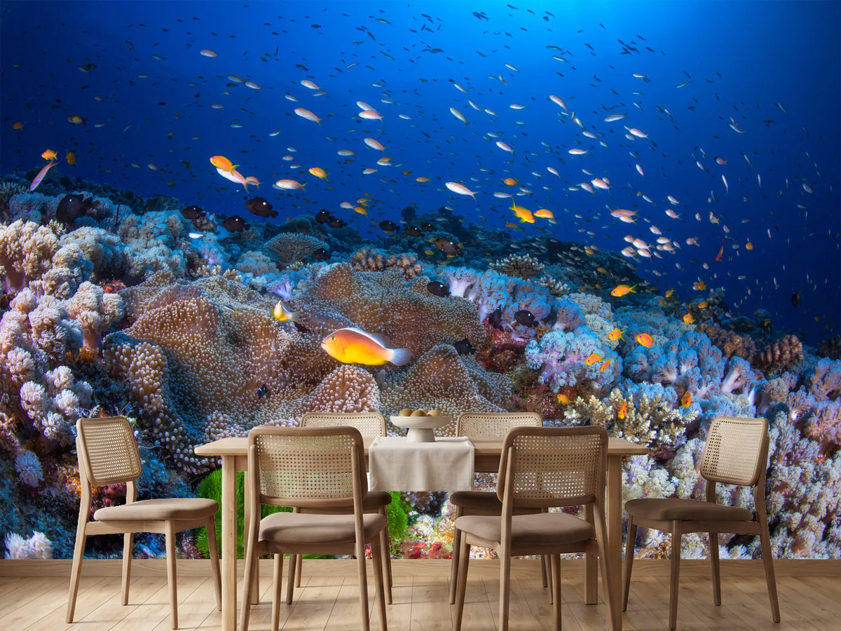 photo-wallpaper-anemon-and-anthias-x
