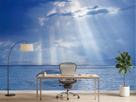 photo-wallpaper-whale-tail-sun-rays