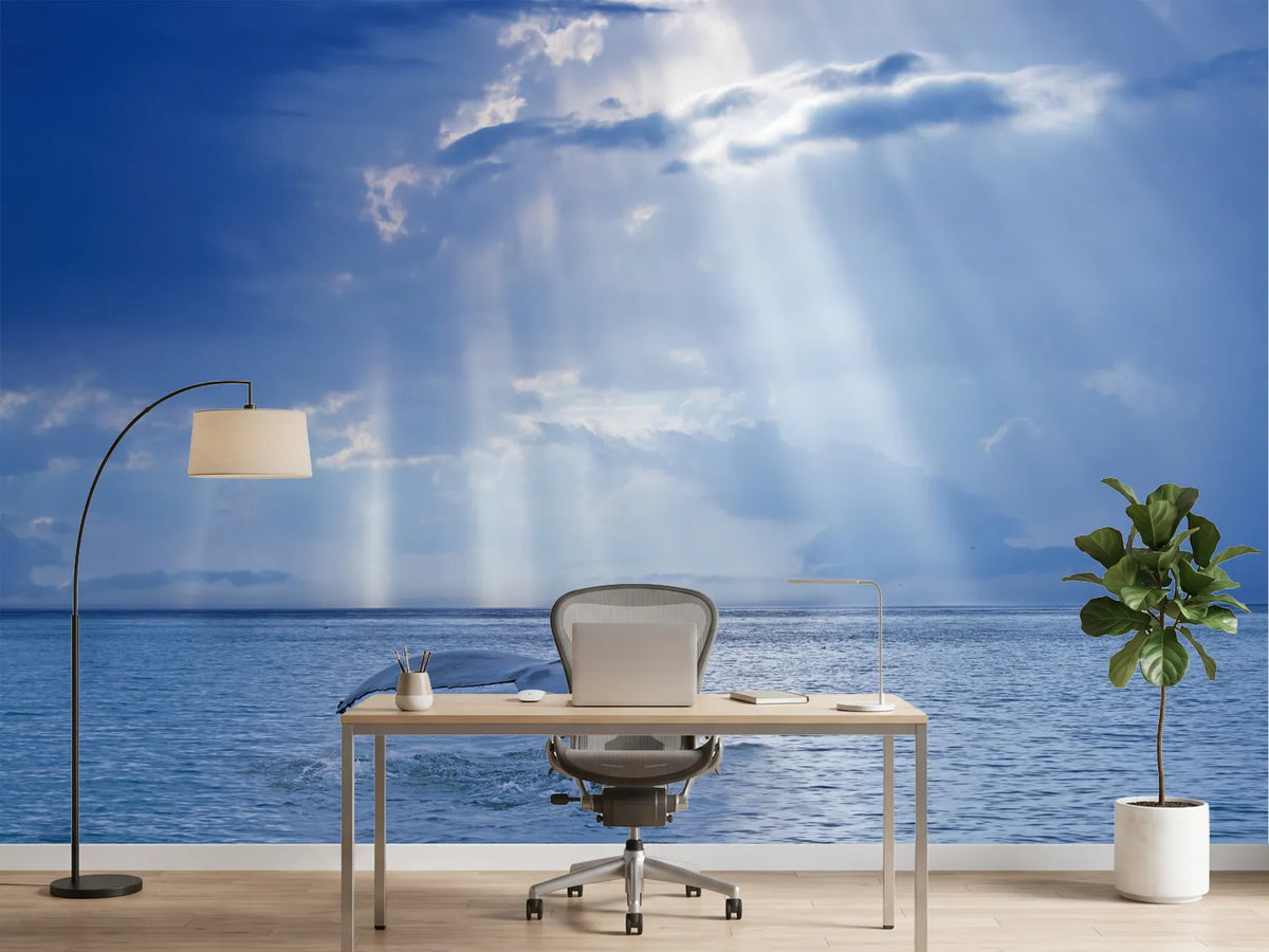 photo-wallpaper-whale-tail-sun-rays