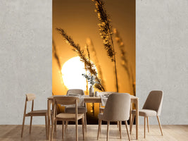 photo-wallpaper-romantic-sunset