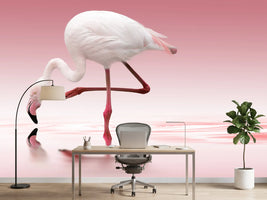 photo-wallpaper-flamingo