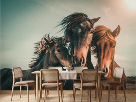 photo-wallpaper-wild-horse-family