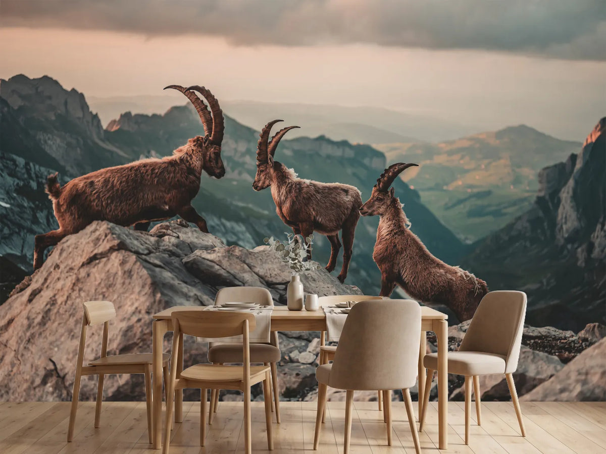 photo-wallpaper-ibexes-in-the-swiss-alps
