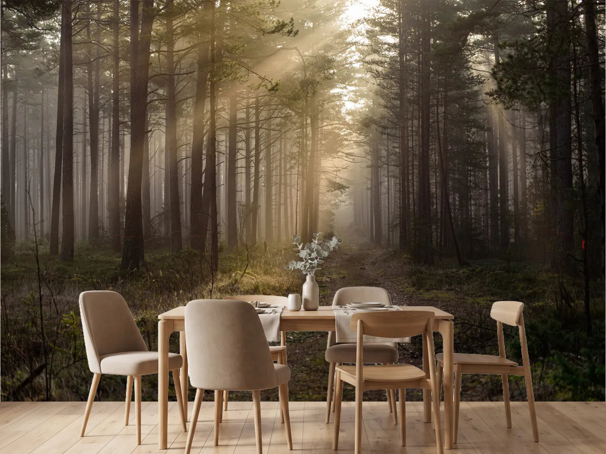 photo-wallpaper-in-the-woods-the-early-morning-sun-with-its-warm-sunlight