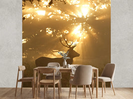 photo-wallpaper-ghost-of-the-forest