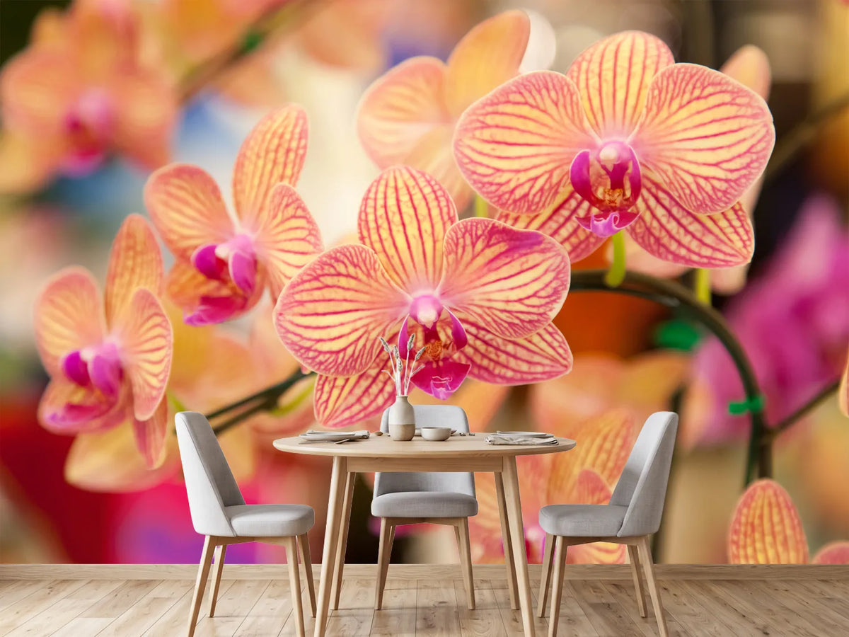 photo-wallpaper-exotic-orchids