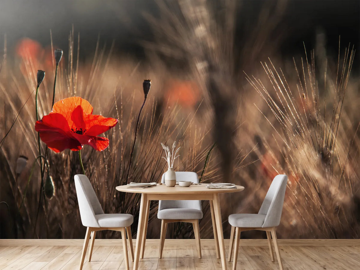 photo-wallpaper-poppy-with-corn-x