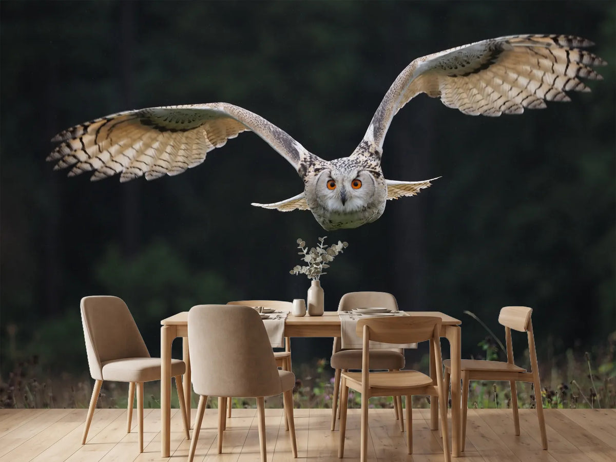photo-wallpaper-the-owl
