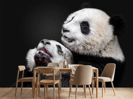photo-wallpaper-pandas-x