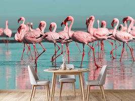 photo-wallpaper-flamingo-flock-wading-through-turquoise-shallows-with-mirrored-reflections