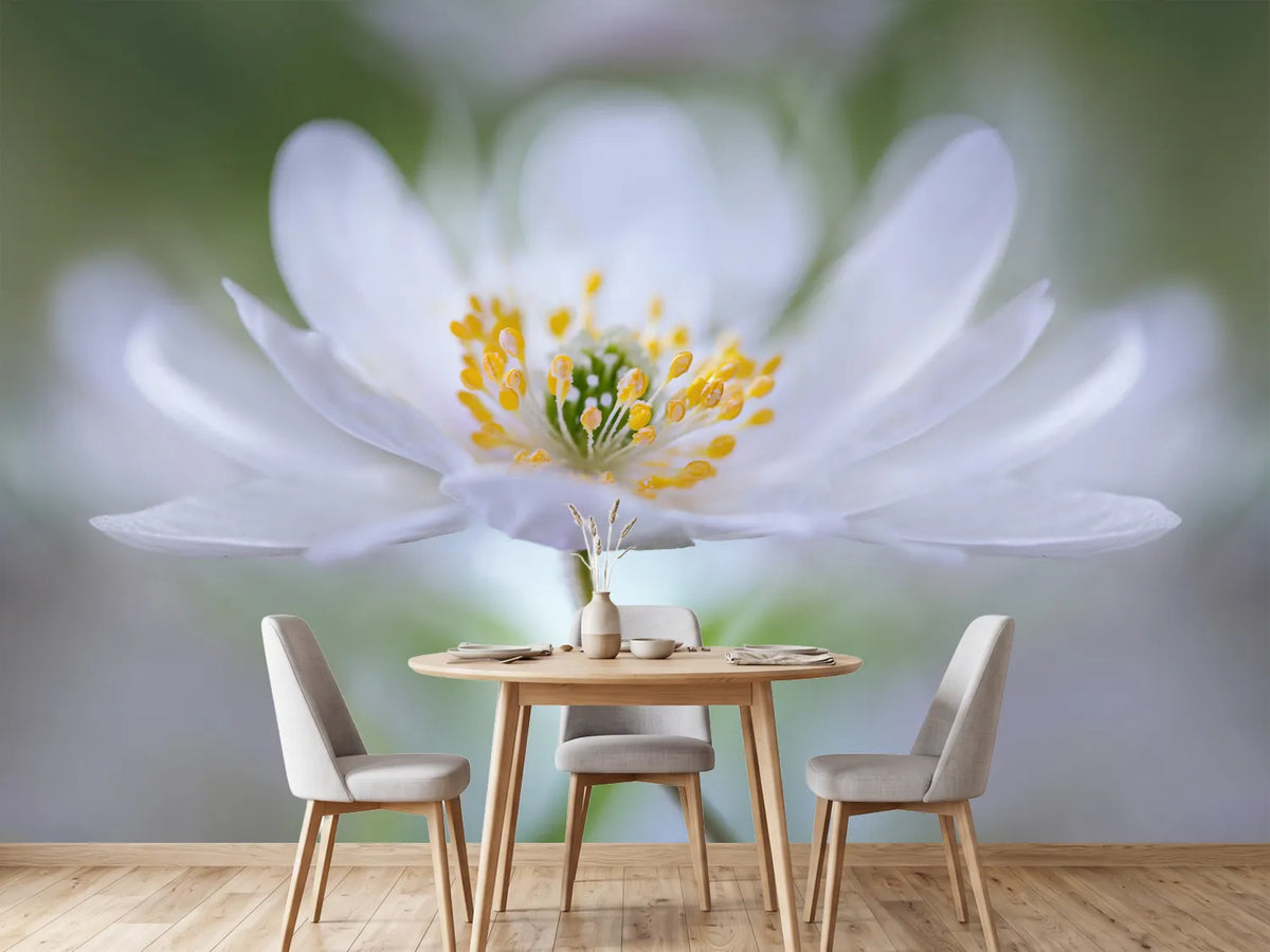 photo-wallpaper-nemorosa-nirvana
