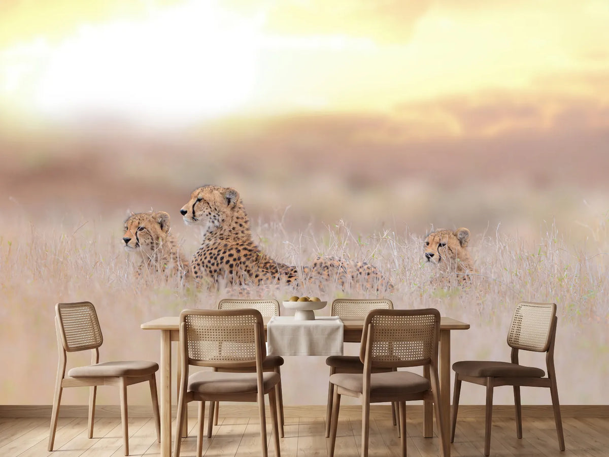 photo-wallpaper-cheetah-family-x