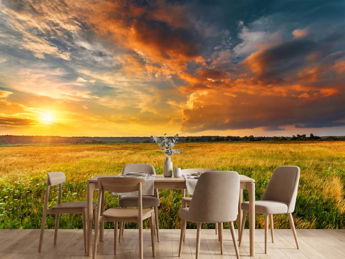 photo-wallpaper-wide-summer-meadow-under-glowing-clouds-at-sunset