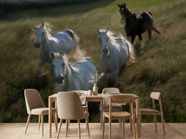 photo-wallpaper-gallop-in-x