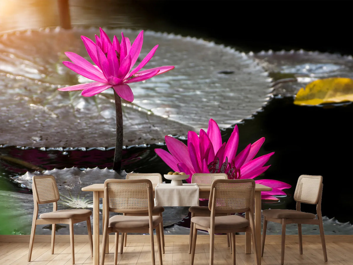 photo-wallpaper-water-lily-in-the-morning-dew
