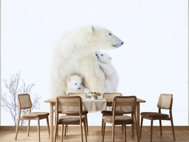 photo-wallpaper-polar-bear-mother-and-cubs