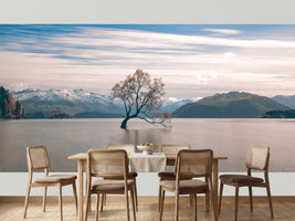 photo-wallpaper-wanaka-tree-serenity