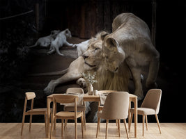 photo-wallpaper-the-lion-couple