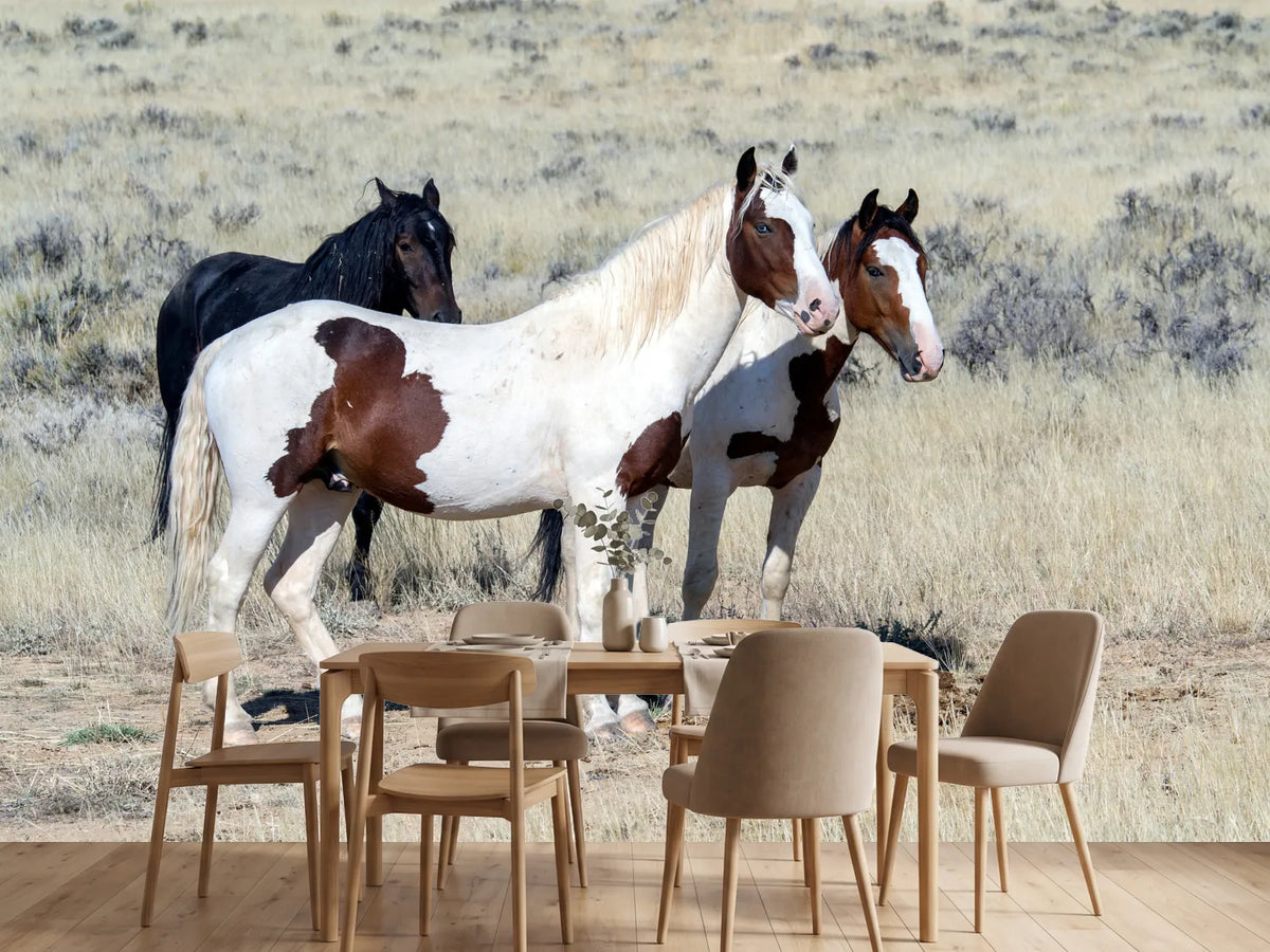 photo-wallpaper-3-wild-horses