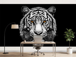 photo-wallpaper-white-tiger-with-amber-eyes-against-deep-black
