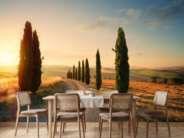 photo-wallpaper-italy-tuscany-countryside-rolling-hills-summer-farmland-and-country-road