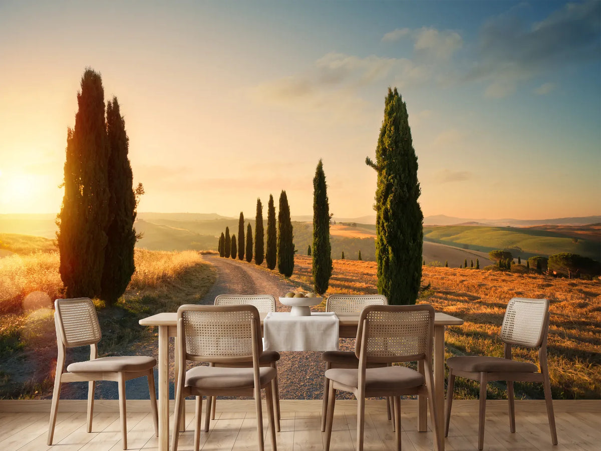 photo-wallpaper-italy-tuscany-countryside-rolling-hills-summer-farmland-and-country-road