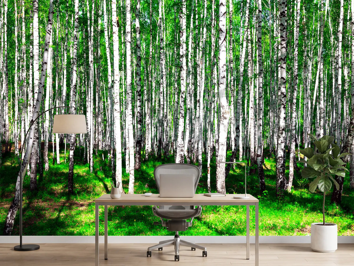 photo-wallpaper-summerly-birch-forest