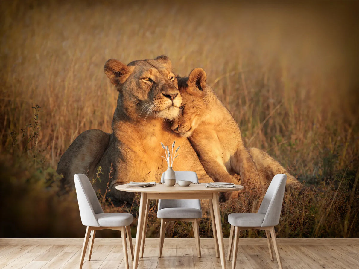 photo-wallpaper-feline-family-x