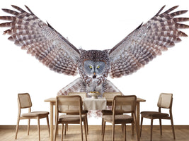 photo-wallpaper-power-great-grey-owl