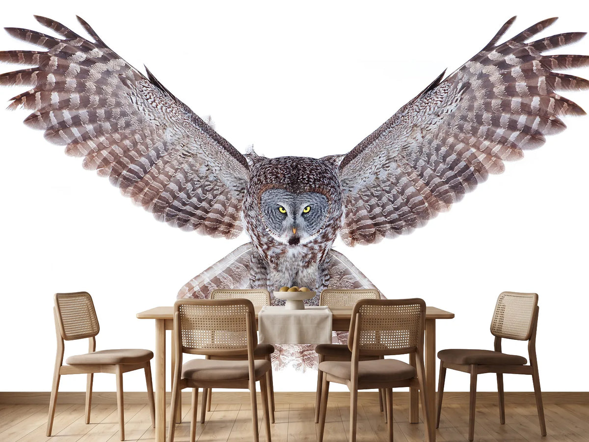 photo-wallpaper-power-great-grey-owl