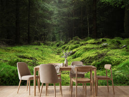 photo-wallpaper-beautiful-and-peaceful-forest-with-green-moss-covering-the-forest-floor