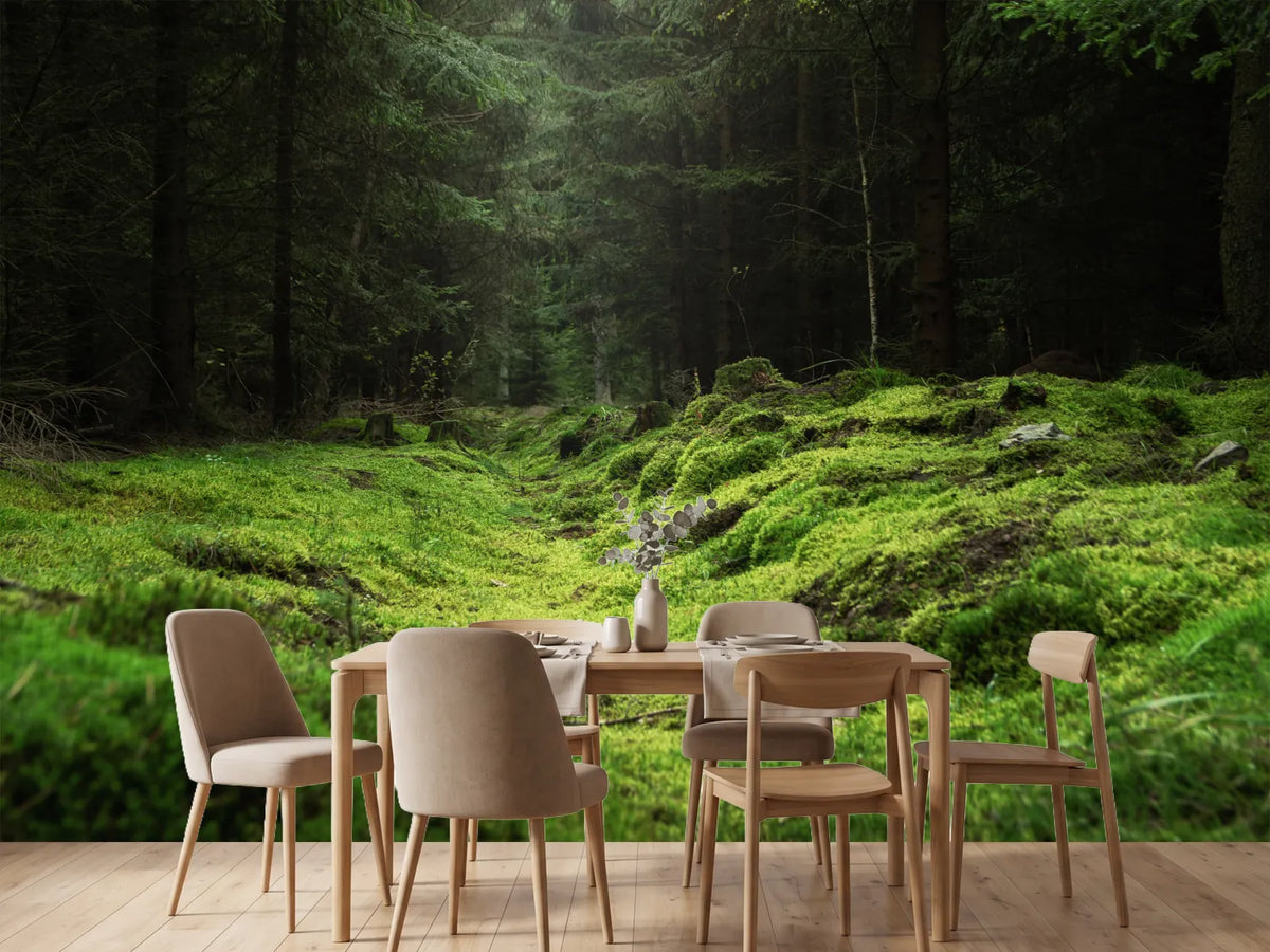 photo-wallpaper-beautiful-and-peaceful-forest-with-green-moss-covering-the-forest-floor
