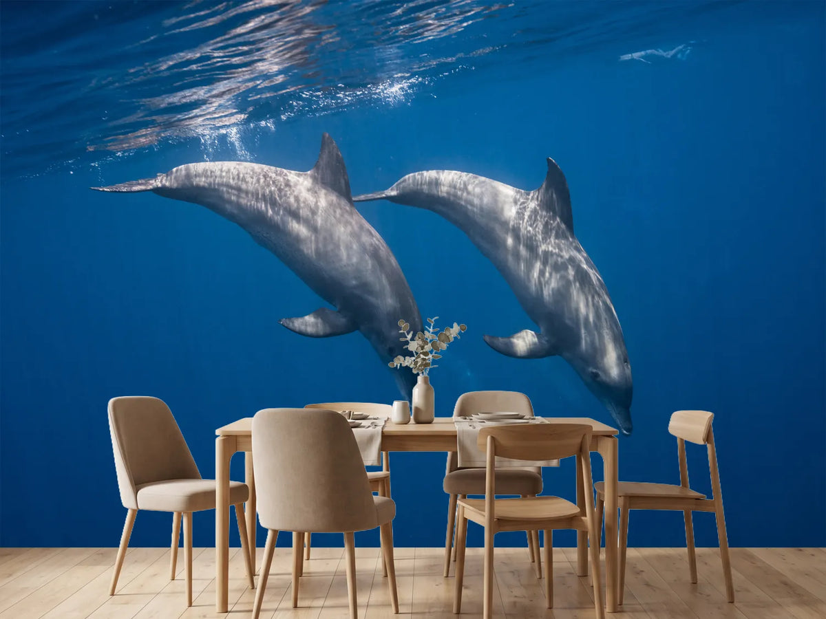 photo-wallpaper-two-bottlenose-dolphins