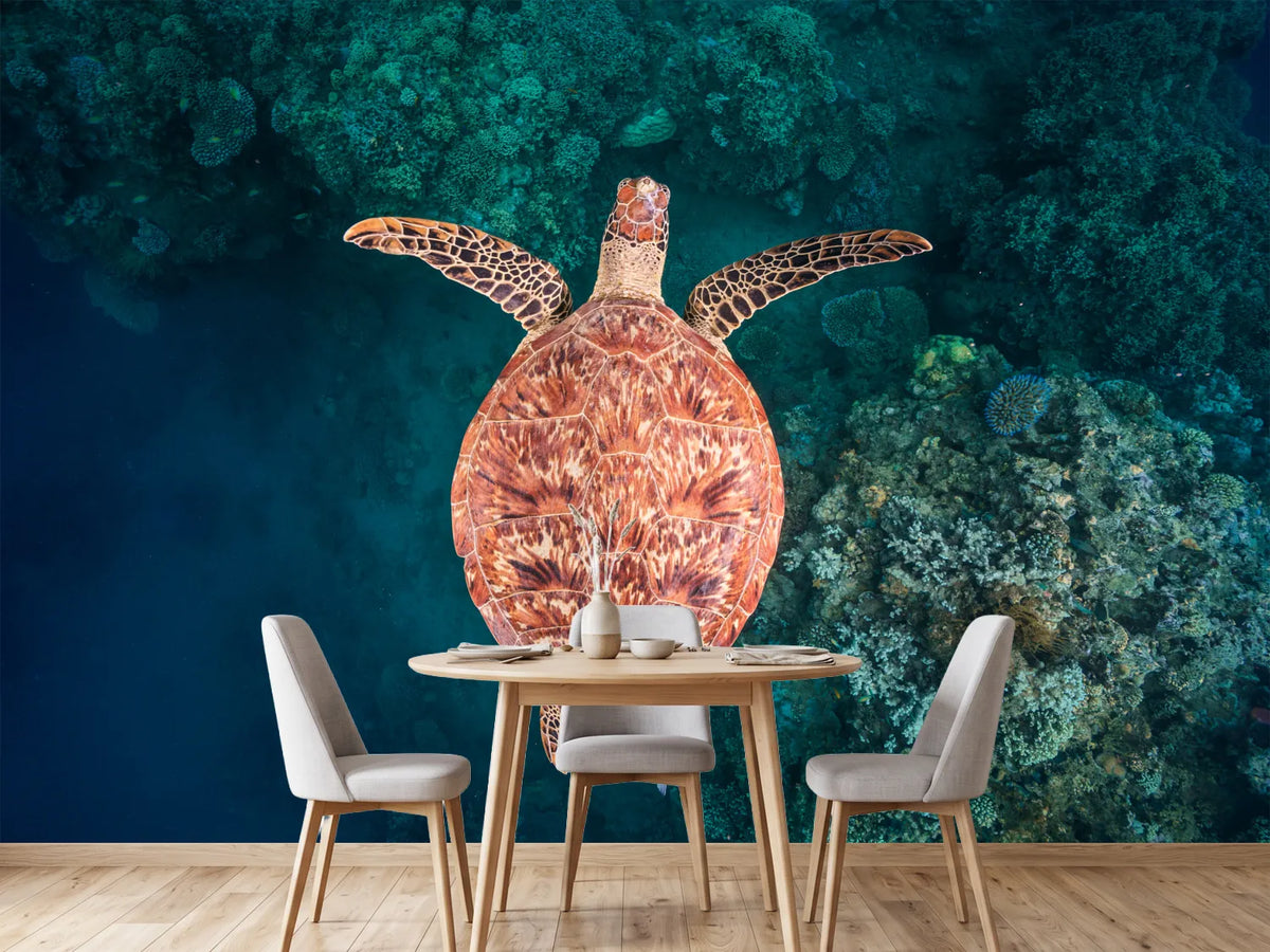 photo-wallpaper-graceful-sea-turtle-swim