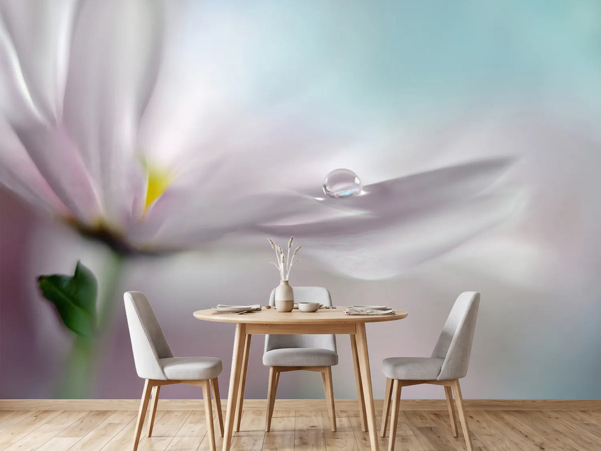 photo-wallpaper-where-dreams-come-true