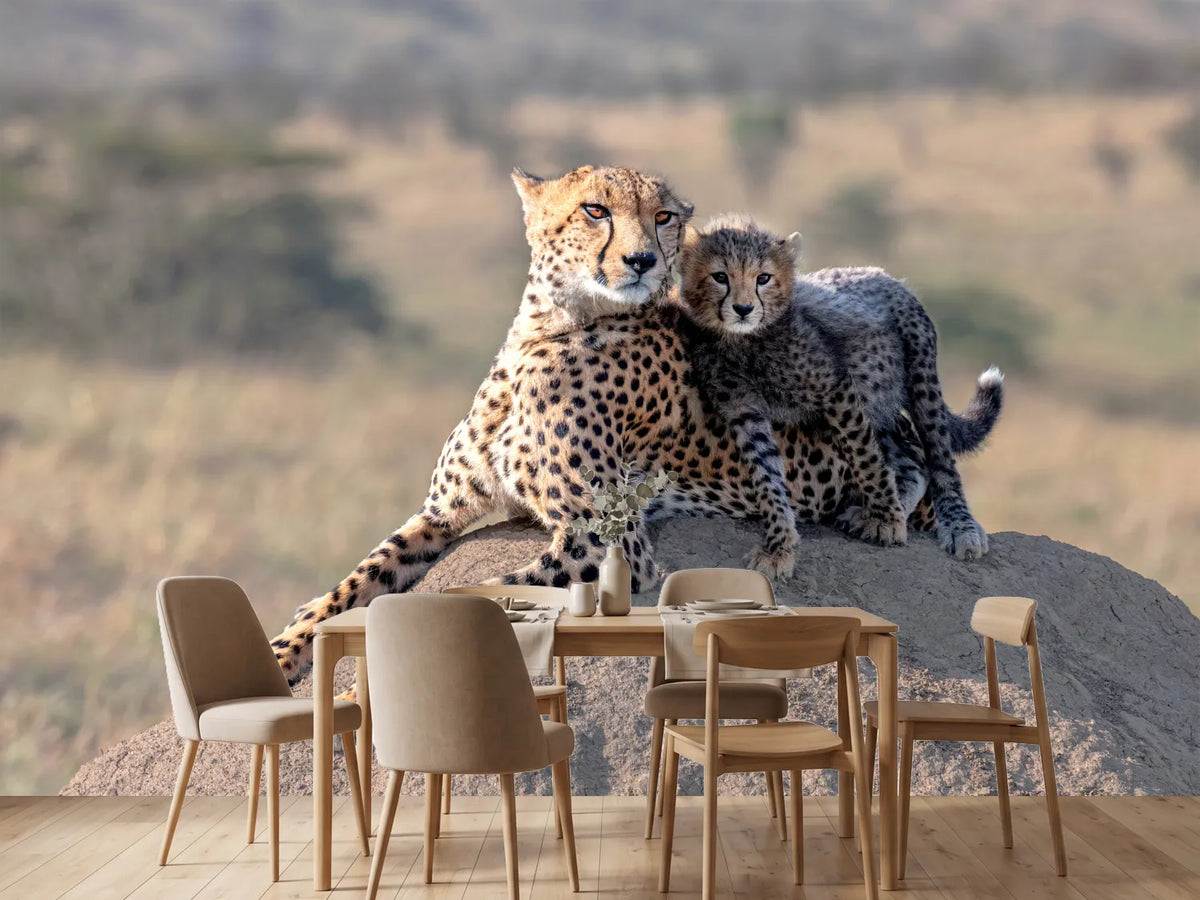 photo-wallpaper-cheetah-and-cup-x