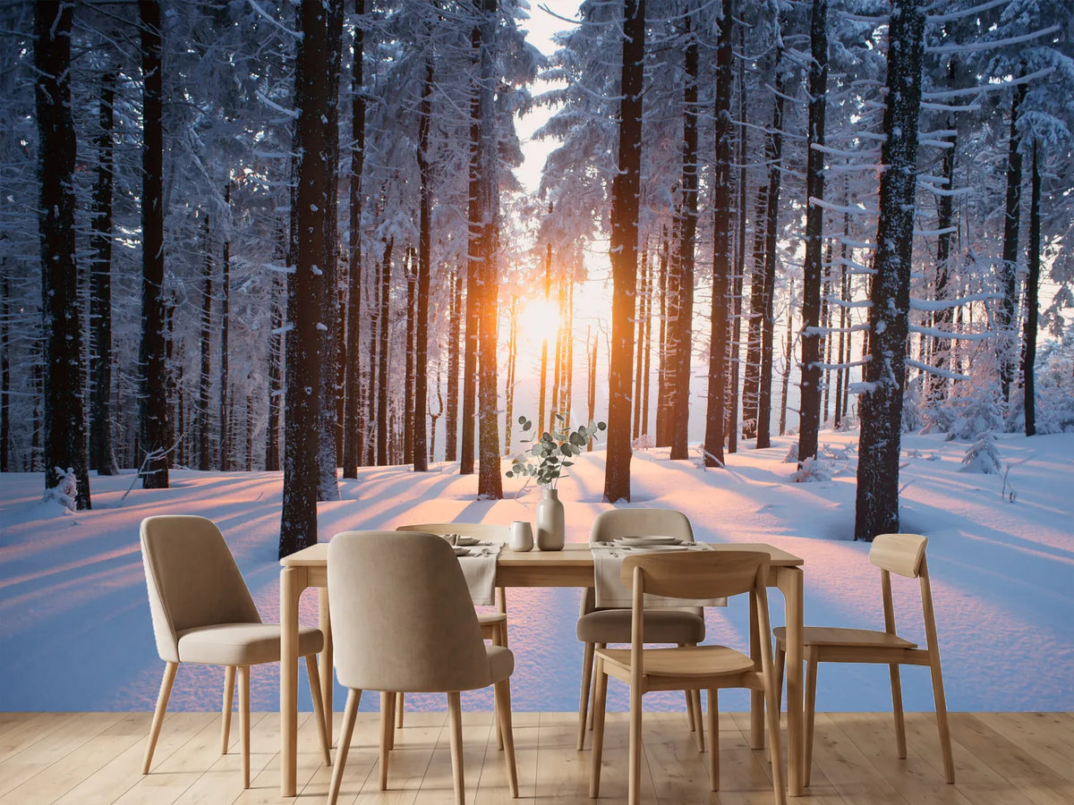 photo-wallpaper-sunset-in-the-wood-in-winter-period