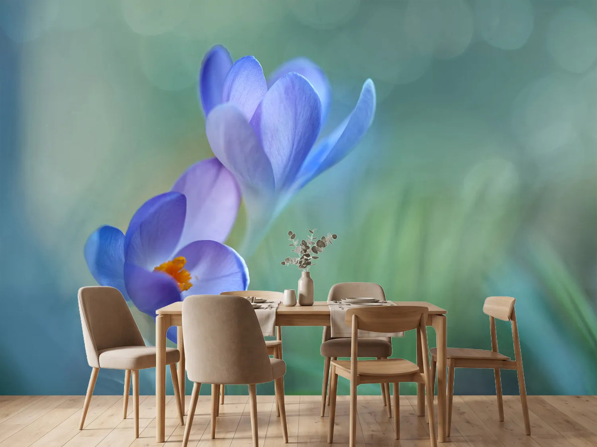 photo-wallpaper-lovely-couple-x