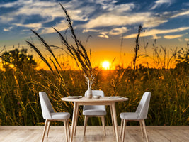 photo-wallpaper-the-sunset-on-the-field