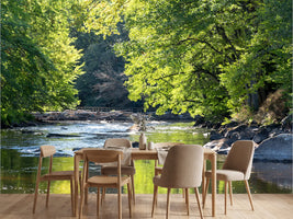 photo-wallpaper-wild-swedish-river-in-september