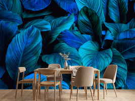 photo-wallpaper-tropical-leaves-in-turquoise-and-deep-blue-dense-foliage
