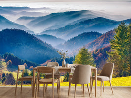 photo-wallpaper-black-forest-autumn-colors-and-haze