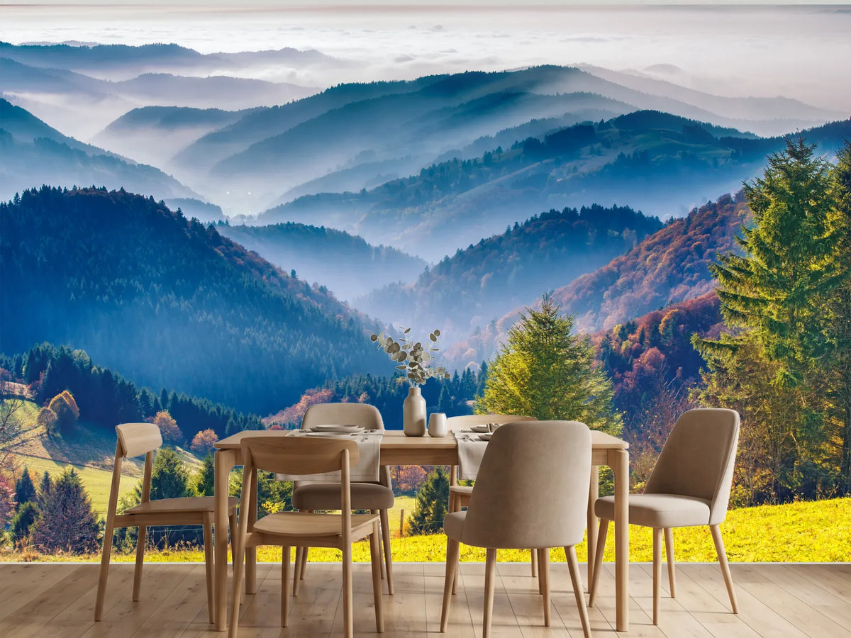 photo-wallpaper-black-forest-autumn-colors-and-haze