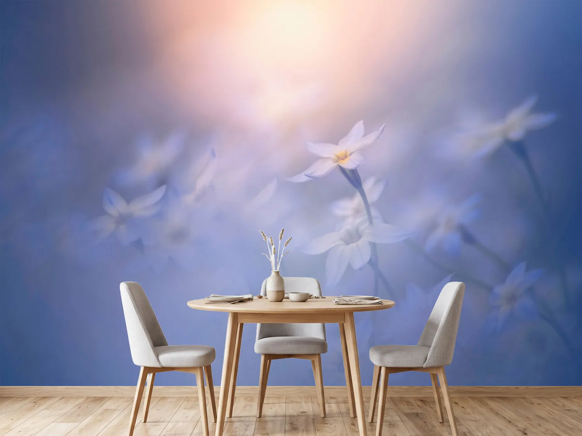 photo-wallpaper-in-the-pale-light-x