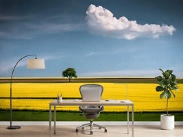 photo-wallpaper-the-tree-and-the-cloud-x